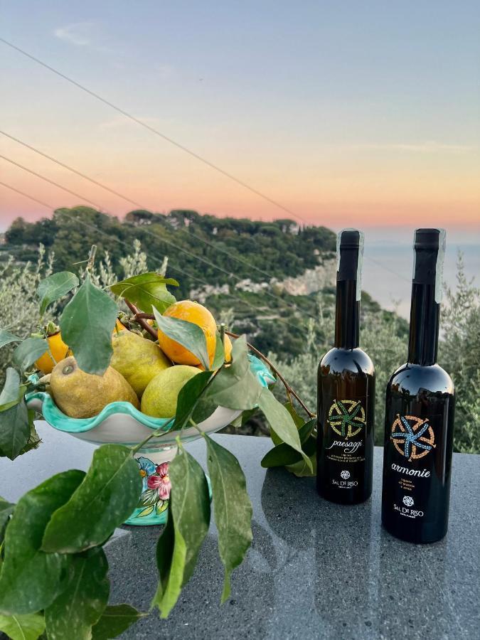 Infinity Experience Casa Vacanza Incantevole Con Terrazzo Scala Εξωτερικό φωτογραφία